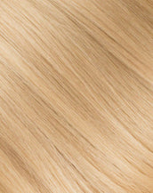 BELLAMI x Andrew Fitzsimons 24" The Ponytail 120g Beach Blonde (613)