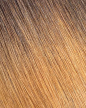 BELLAMI Professional Silk Seam™ | 180g 20" Dark Brown/Ash Brown (2/8) Ombre Clip-In Hair Extensions