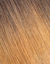BELLAMI Silk Seam 50g 20" Volumizing Weft Dark Brown/Ash Brown (O2/8) Ombre Clip-In Hair Extension